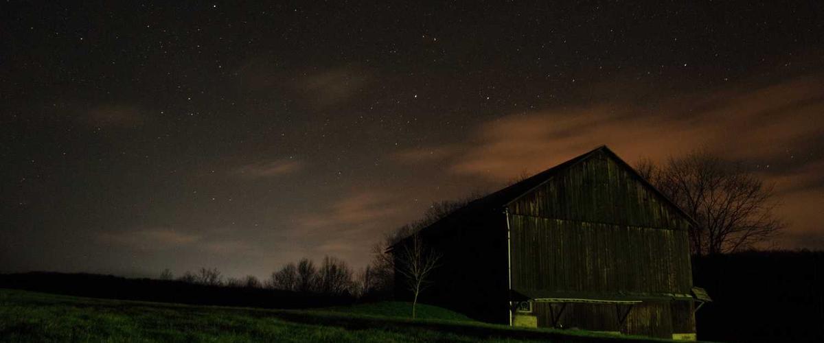 Diverse services represented